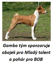 www.gambo.cz