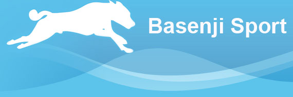 BASP - Basenji Sport