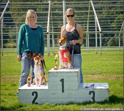 12.9. - bedna 12. 9. Gambo a Remy na bedně