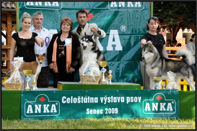 BIG 2 - Senec BIG 2 - Senec