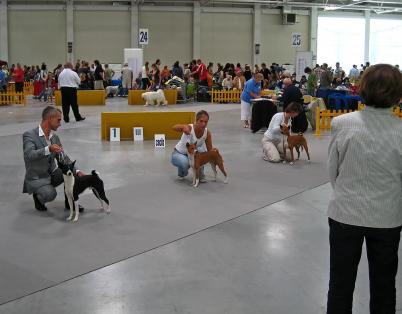 O CACIBa