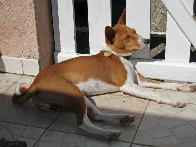 Relax, take it easy…